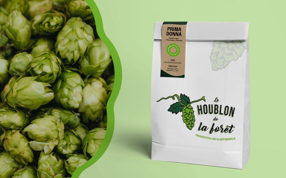 Projet Le houblon de la forêt